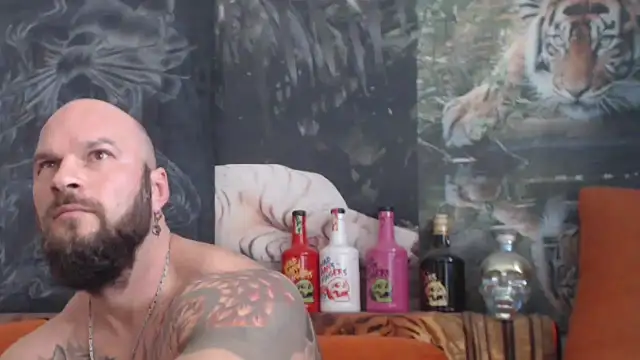 viking 30 online show from 28, 10, 2025