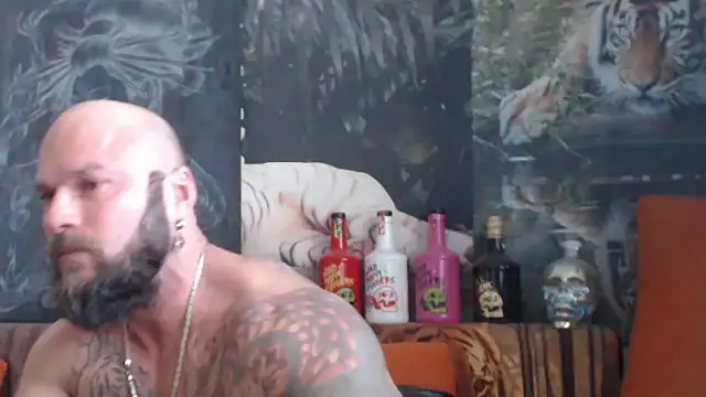 viking 30 online show from 1, 10, 2025