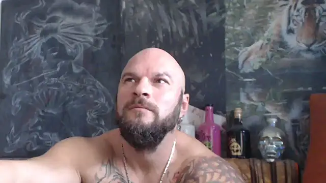 viking 30 online show from 24, 10, 2025