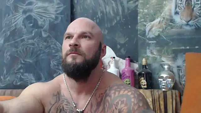 viking 30 online show from 26, 9, 2025