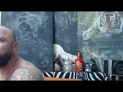 viking 30 online show from 12, 4, 2026