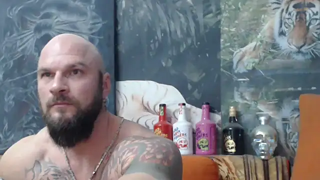 viking 30 online show from 27, 11, 2025