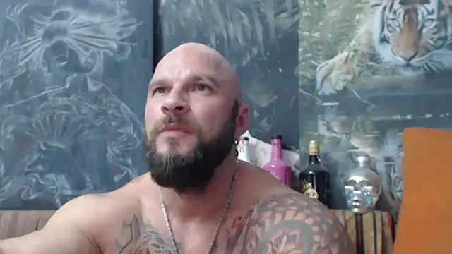 viking 30 online show from 15, 9, 2025