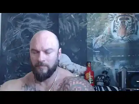 viking 30 online show from 26, 4, 2026