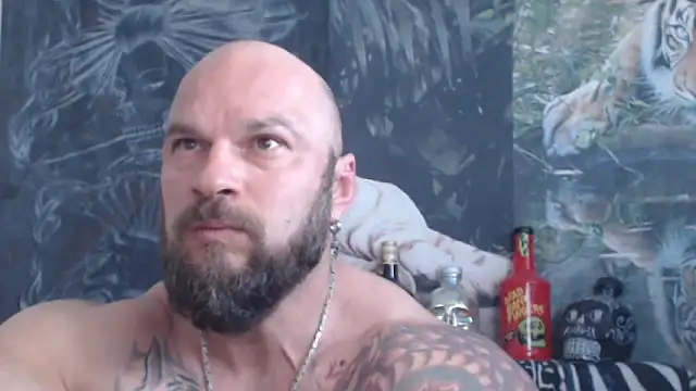 viking 30 online show from 31, 5, 2026