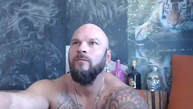 viking 30 online show from 16, 9, 2025