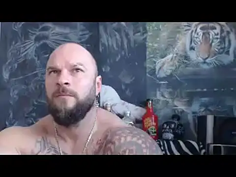 viking 30 online show from 17, 4, 2026