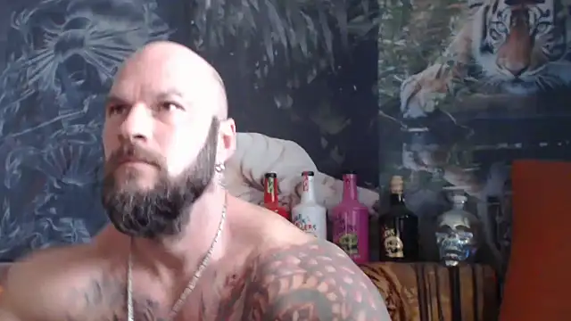 viking 30 online show from 2, 10, 2025