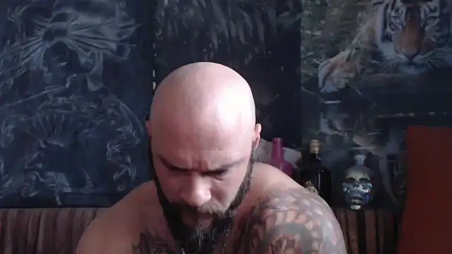 viking 30 online show from 3, 10, 2025