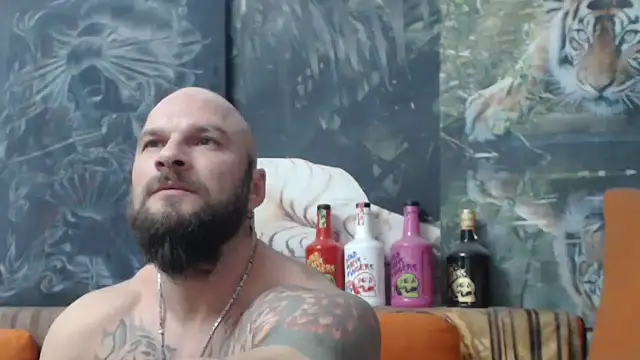 viking 30 online show from 28, 11, 2025