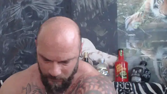 viking 30 online show from 24, 6, 2026