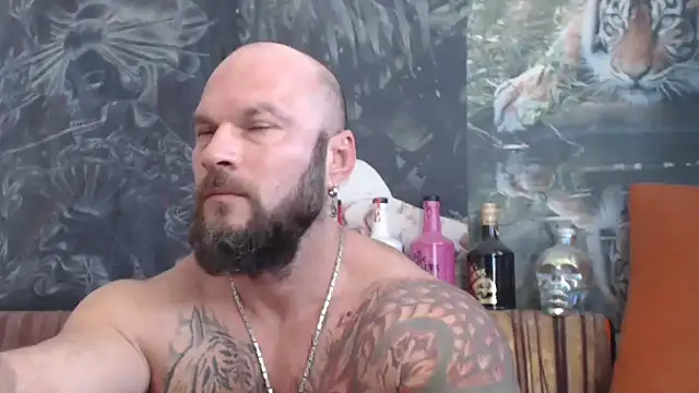 viking 30 online show from 22, 9, 2025