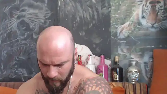 viking 30 online show from 31, 10, 2025