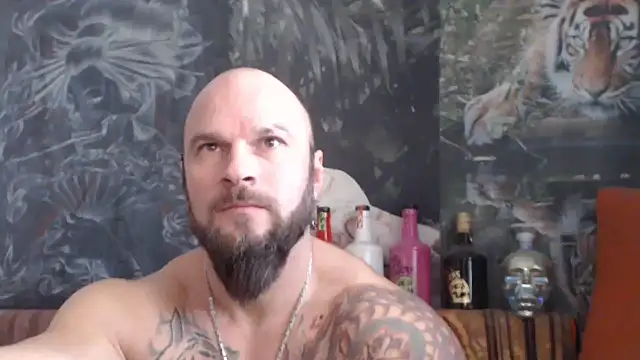 viking 30 online show from 26, 11, 2025