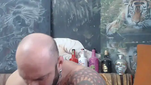 viking 30 online show from 16, 11, 2025