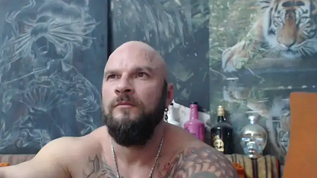 viking 30 online show from 31, 10, 2025