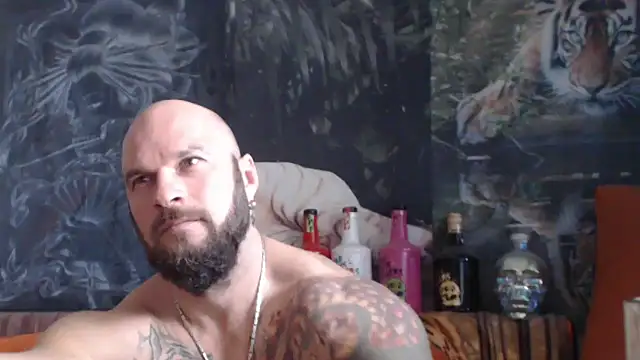 viking 30 online show from 27, 10, 2025