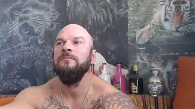 viking 30 online show from 30, 10, 2025