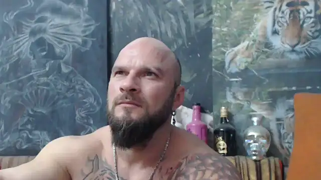 viking 30 online show from 5, 11, 2025