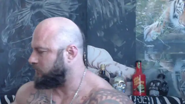 viking 30 online show from 29, 5, 2026