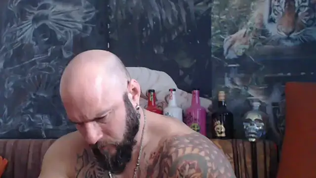 viking 30 online show from 30, 9, 2025