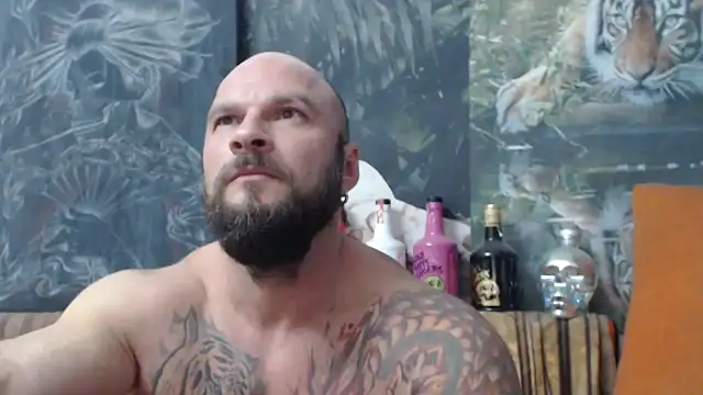 viking 30 online show from 20, 9, 2025