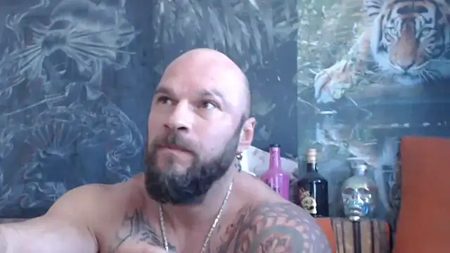 viking 30 online show from 14, 9, 2025