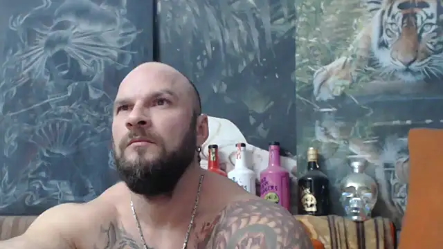 viking 30 online show from 16, 10, 2025