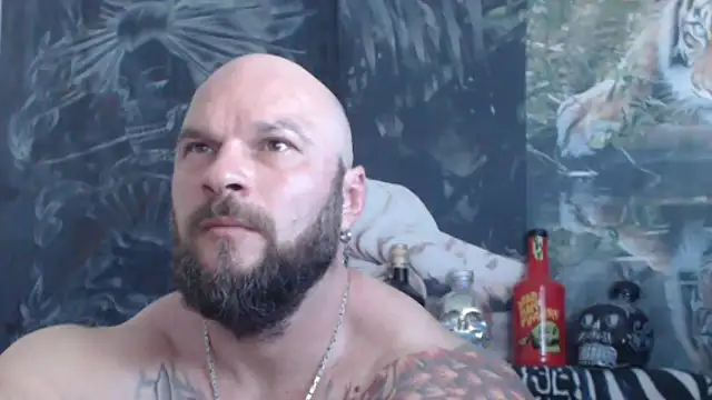 viking 30 online show from 27, 5, 2026
