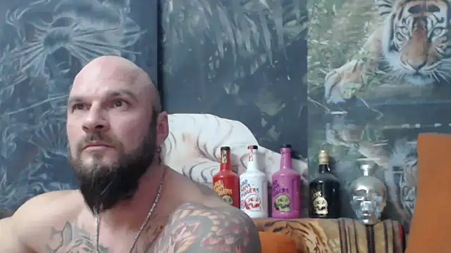 viking 30 online show from 22, 11, 2025