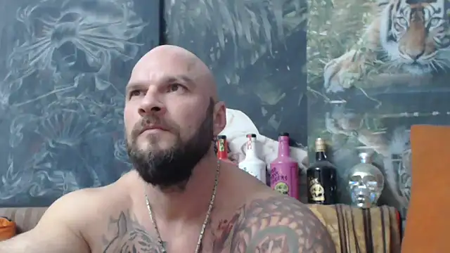 viking 30 online show from 9, 10, 2025