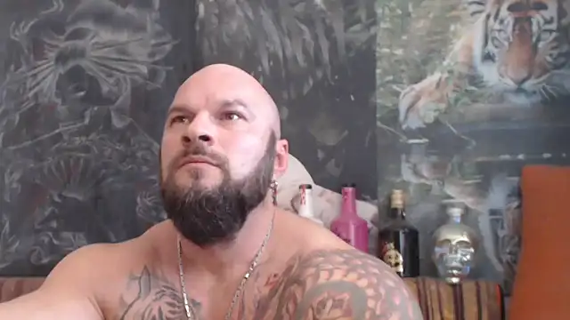 viking 30 online show from 2, 11, 2025