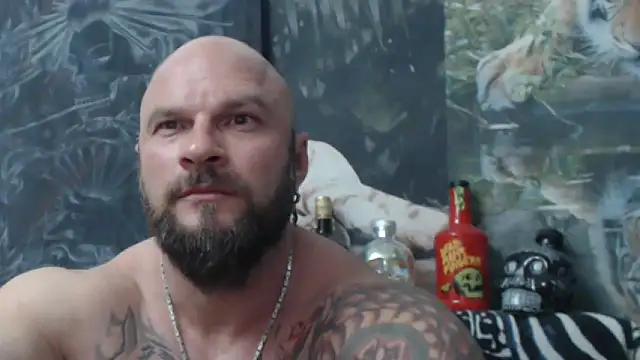 viking 30 online show from 20, 5, 2026