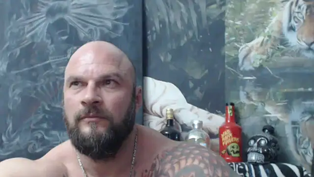 viking 30 online show from 29, 5, 2026