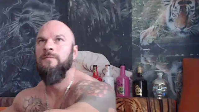 viking 30 online show from 4, 11, 2025