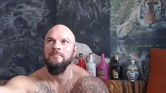 viking 30 online show from 18, 11, 2025