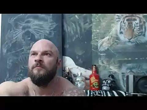 viking 30 online show from 26, 4, 2026