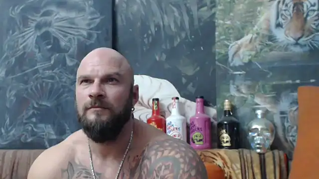 viking 30 online show from 25, 10, 2025