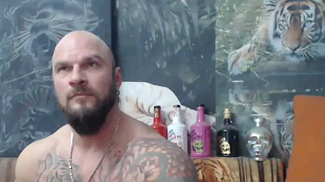 viking 30 online show from 15, 11, 2025