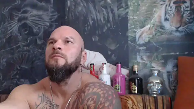 viking 30 online show from 5, 11, 2025