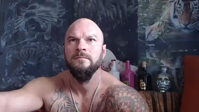 viking 30 online show from 8, 10, 2025