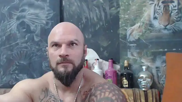 viking 30 online show from 11, 11, 2025