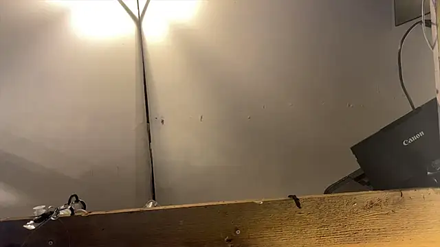 Snapshot of xdresserwithass chatting on 26, 2, 2026 xdresserwithass online show from 26, 2, 2026