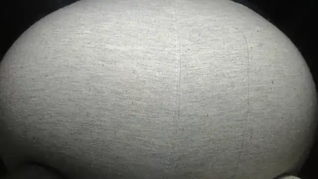 prettyangelsquirt online show from 4, 4, 2026