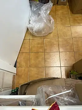 Mindnorthcam2 online show from 16, 2, 2026