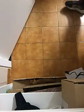 Mindnorthcam2 online show from 21, 3, 2025