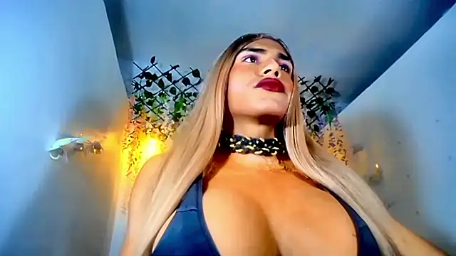 paulabigcock online show from 14, 2, 2026