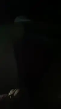 Kingnik13 online show from 23, 11, 2025