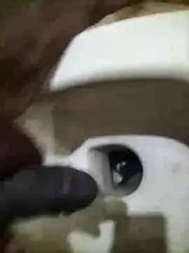 naxusxh online show from 30, 11, 2025