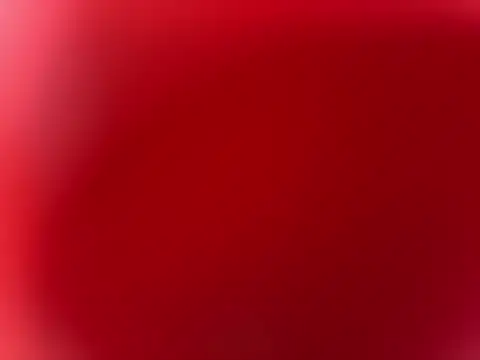 dawja online show from 24, 5, 2026